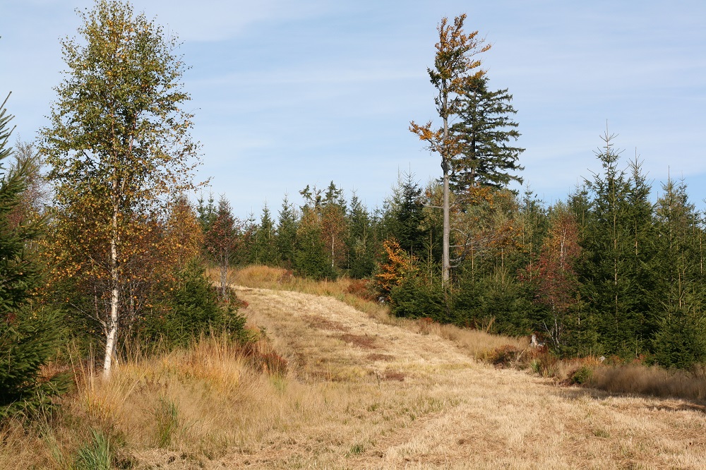 Zollstock im Oktober 2015
