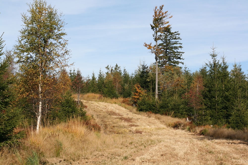 Zollstock im Oktober 2015