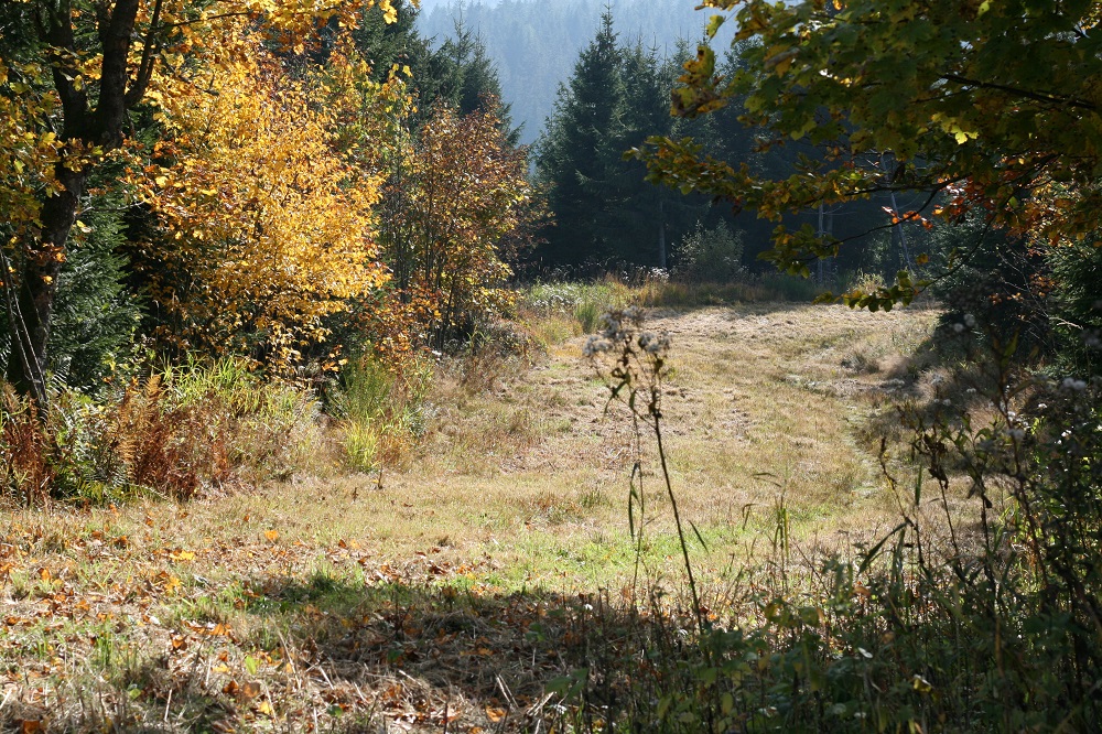 Zollstock im Oktober 2015